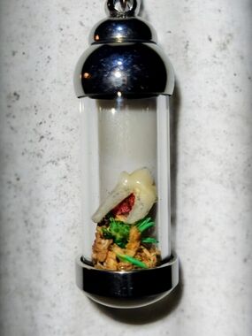 REAL Feline Tooth Vial Pendant with Natural Floral Accents.